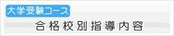 大学受験コース 合格校別指導内容